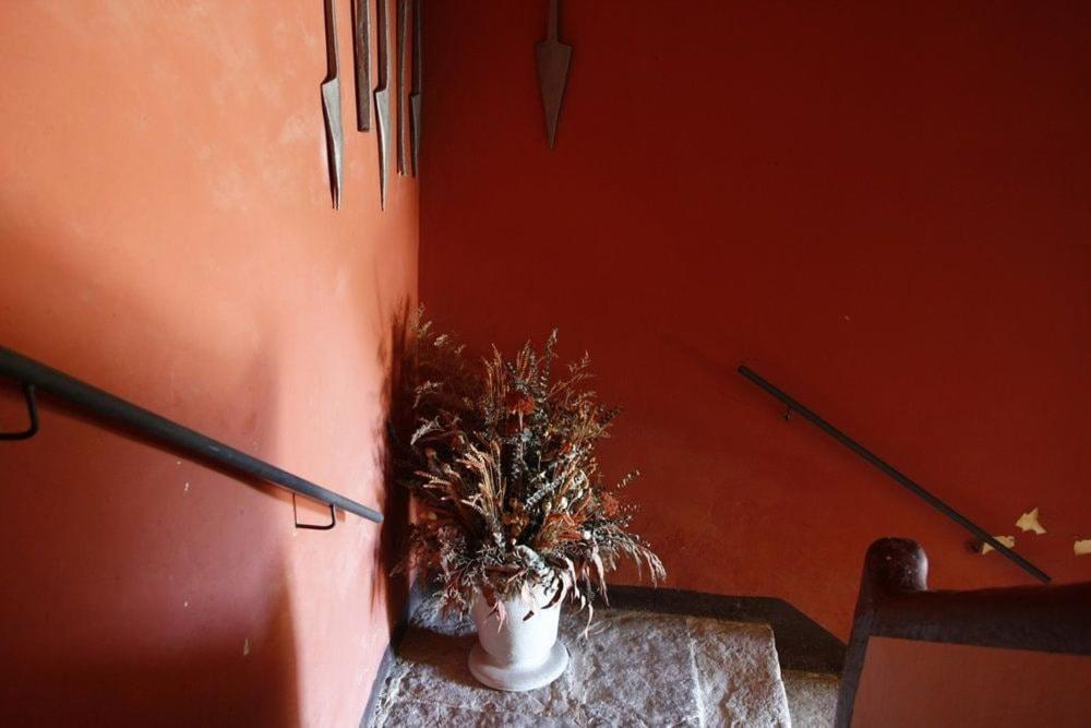 Masia Cal Millas - Turisme Rural Castellfullit de Riubregos ภายนอก รูปภาพ